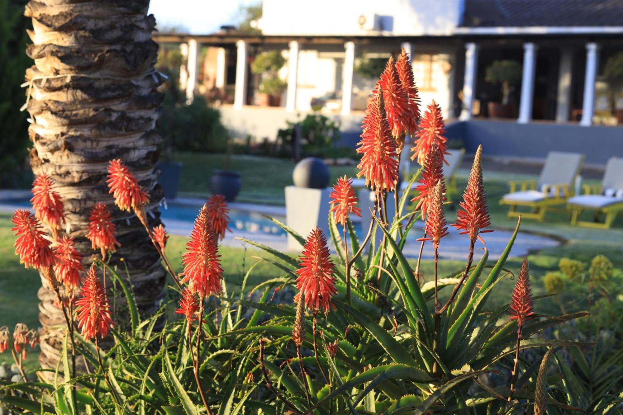 Thylitshia Villa Country Guest House Oudtshoorn Esterno foto