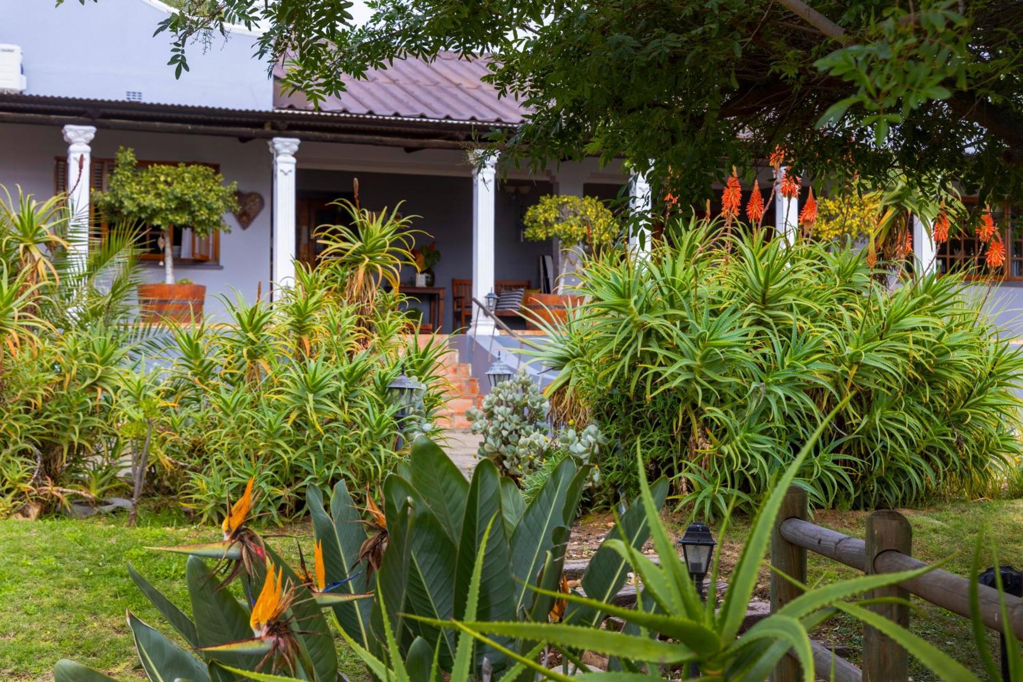Thylitshia Villa Country Guest House Oudtshoorn Esterno foto