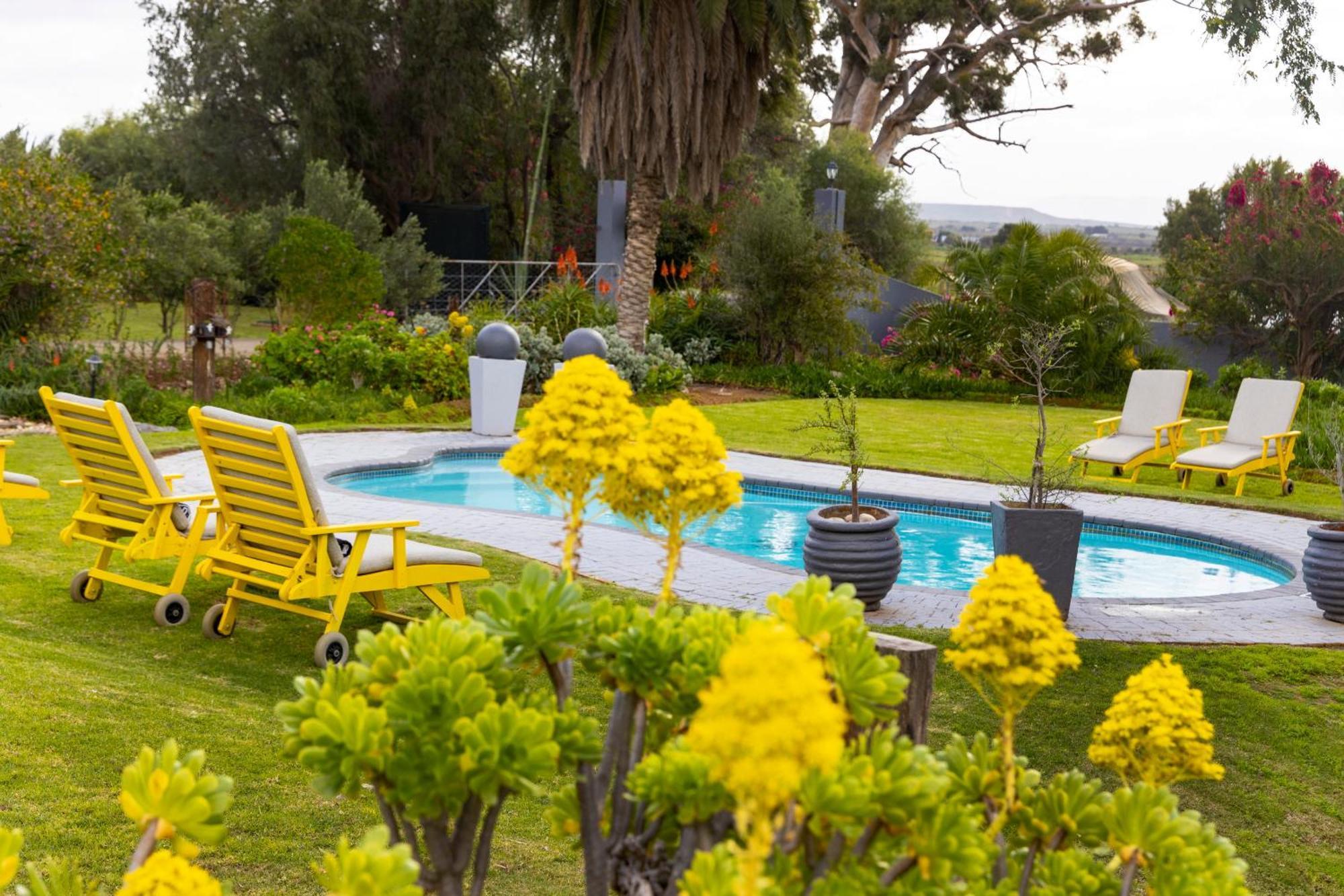 Thylitshia Villa Country Guest House Oudtshoorn Esterno foto