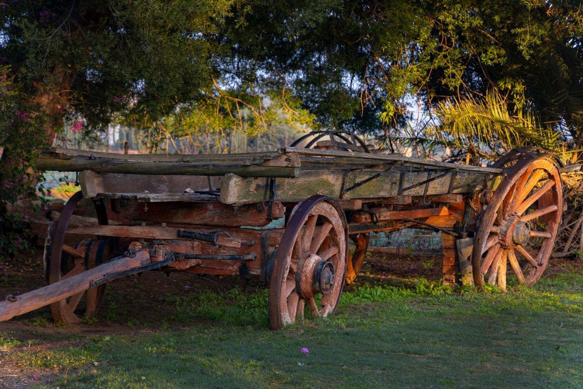 Thylitshia Villa Country Guest House Oudtshoorn Esterno foto