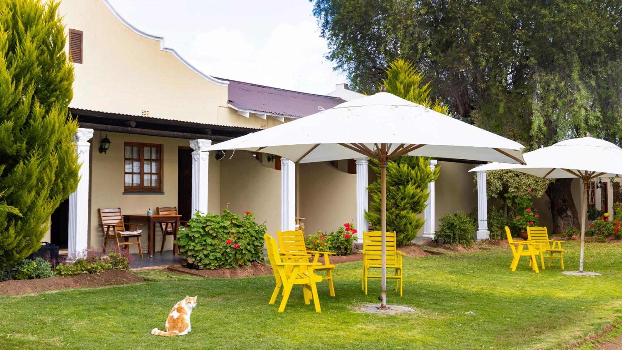 Thylitshia Villa Country Guest House Oudtshoorn Esterno foto