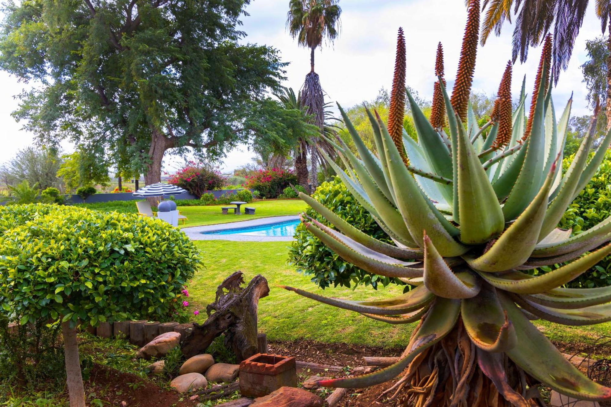 Thylitshia Villa Country Guest House Oudtshoorn Esterno foto