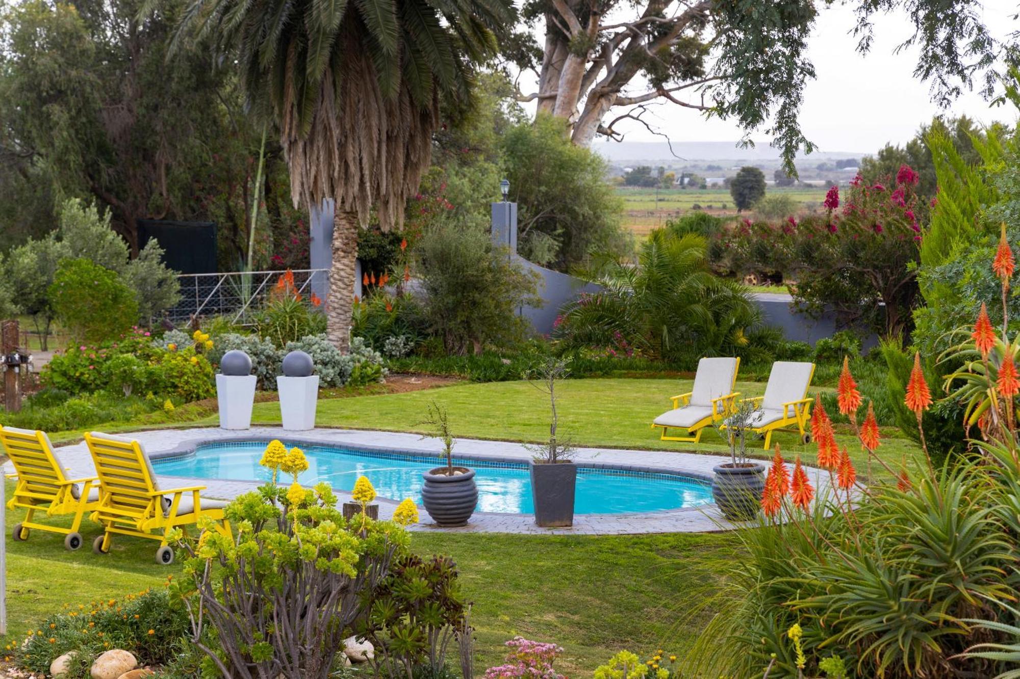 Thylitshia Villa Country Guest House Oudtshoorn Esterno foto
