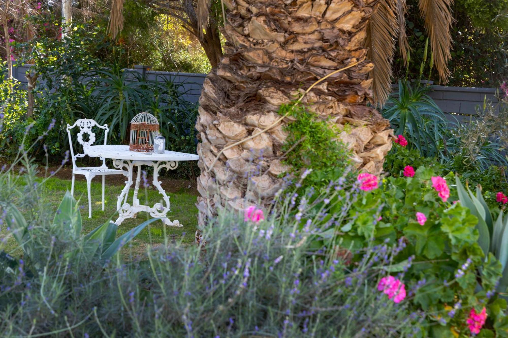 Thylitshia Villa Country Guest House Oudtshoorn Esterno foto