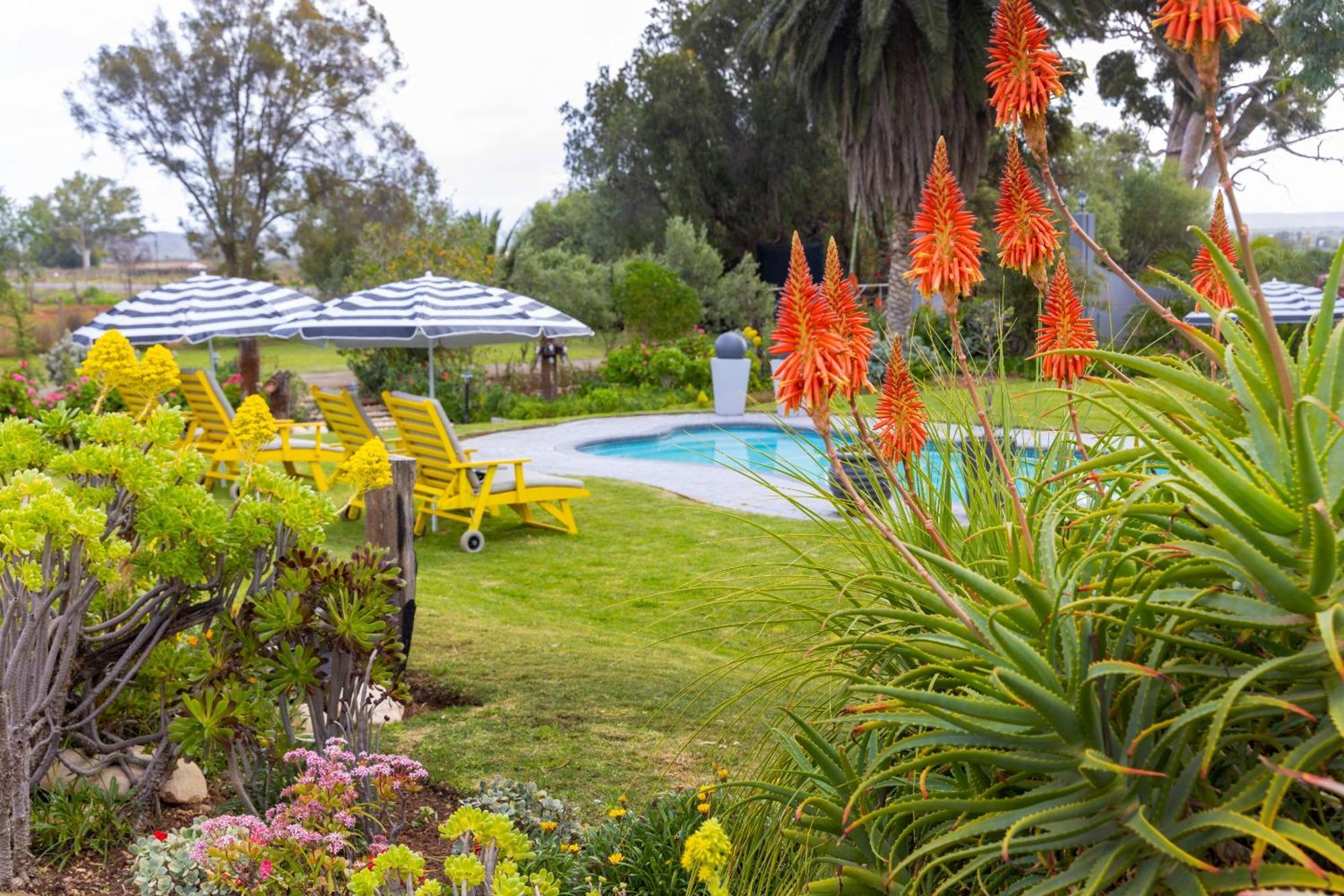 Thylitshia Villa Country Guest House Oudtshoorn Esterno foto