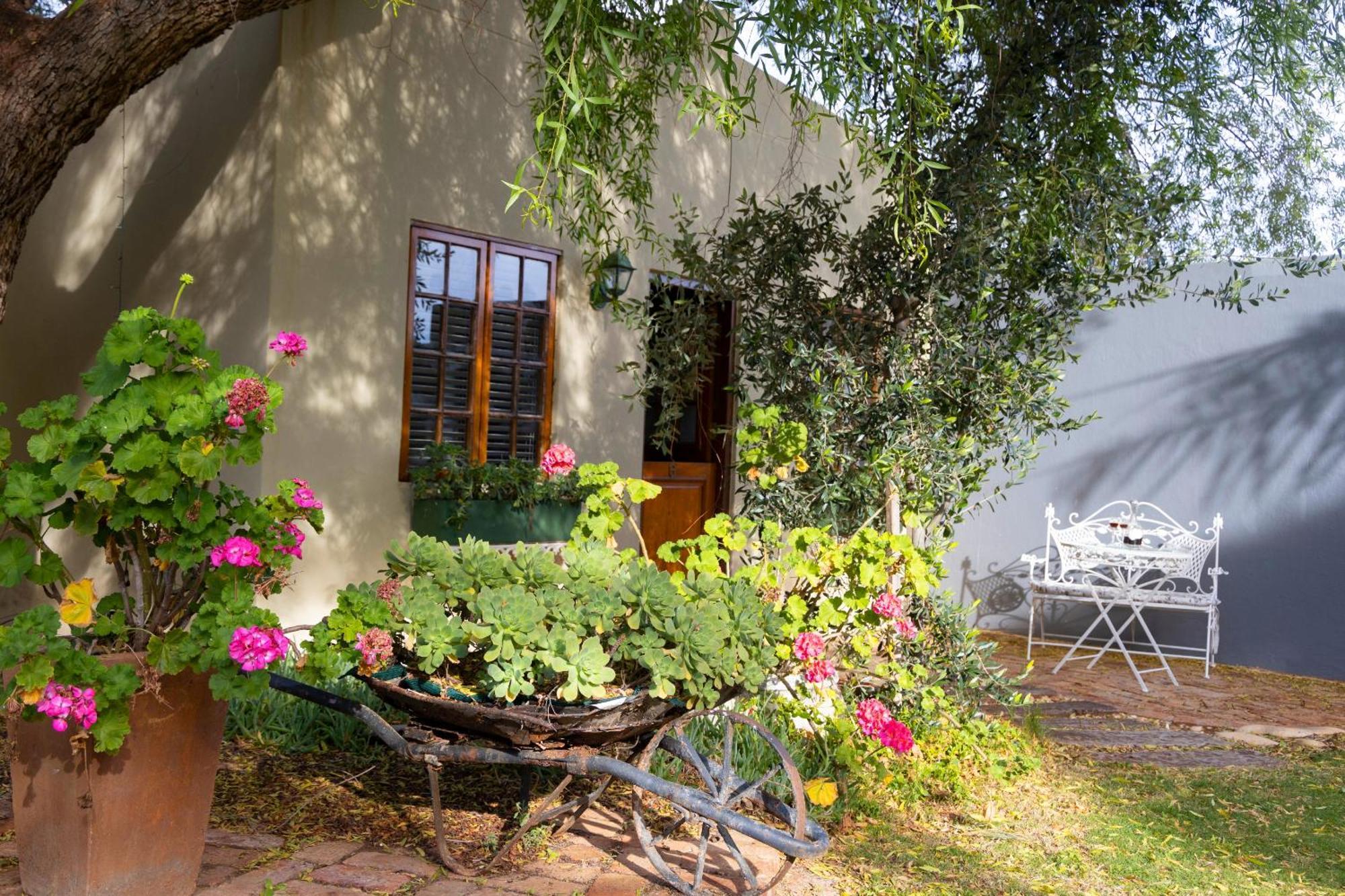 Thylitshia Villa Country Guest House Oudtshoorn Esterno foto